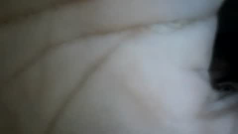 bebosaya93 online show from December 2025 07:25:02 AM