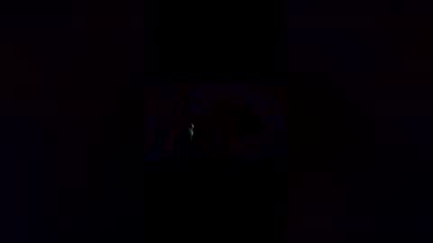 Chocolate Bee online show from April 2026 09:34:02 AM