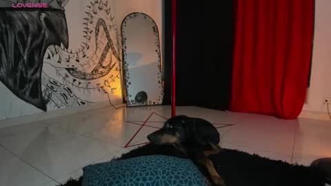 Daniela  ur fav living dead girl  online show from January 2025 12:42:01 AM