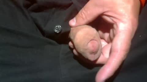  Reservoir Dogs online show from November 2025 01:41:01 AM