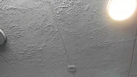 Snapshot of bella_lane_ chatting on December 2025 07:22:01 PM Bella online show from December 2025 07:22:01 PM