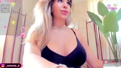 bella_posh online show from June 2026 06:37:02 AM