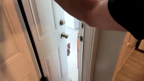 Roxy Rain online show from February 2025 02:12:01 PM