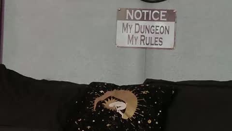 Snapshot of bellaskeykeeper chatting on February 2026 08:37:01 AM Bellaskeykeeper online show from February 2026 08:37:01 AM