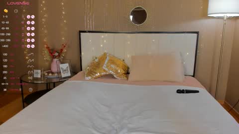 Snapshot of bellatip chatting on November 2025 01:04:01 AM Bella online show from November 2025 01:04:01 AM