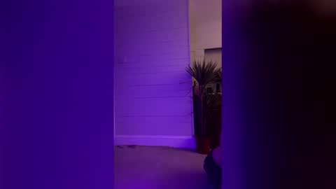 Snapshot of bellaxlauren chatting on February 2026 10:48:02 PM bellaxlauren online show from February 2026 10:48:02 PM