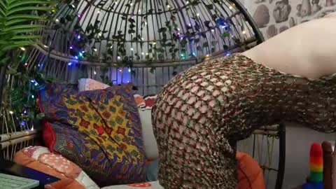 Willow online show from November 2025 10:15:01 PM