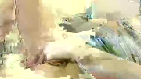 Snapshot of benutzmich0800 chatting on December 2024 11:19:01 PM Benutzmich0800 online show from December 2024 11:19:01 PM