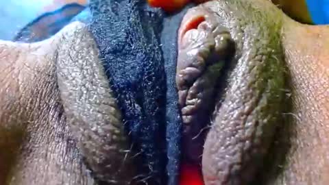 Bethany Wilson online show from January 2026 04:00:02 PM