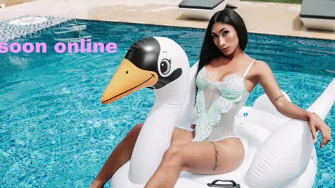 Nicolle Aviles online show from December 2024 07:53:01 AM