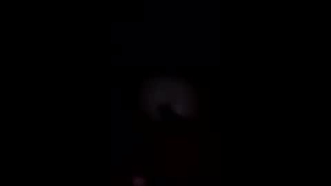 BigFreakyFreaky online show from April 2026 10:57:01 AM