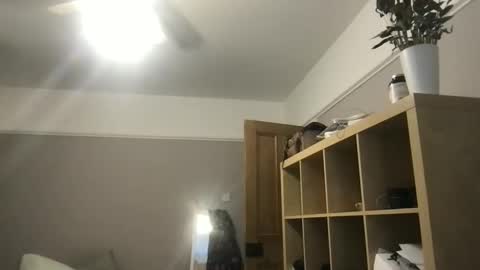 Snapshot of bhm2022 chatting on February 2026 12:49:01 PM bhm2022 online show from February 2026 12:49:01 PM