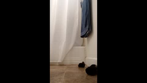 Snapshot of bibottom68942 chatting on December 2025 12:24:02 PM bibottom68942 online show from December 2025 12:24:02 PM