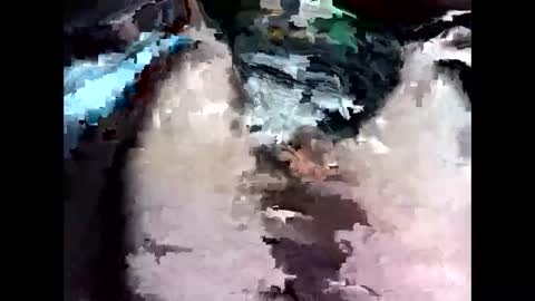 Snapshot of bigbird0100101 chatting on February 2026 06:55:02 PM bigbird0100101 online show from February 2026 06:55:02 PM