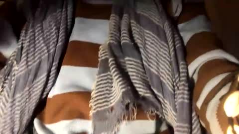 bigboadick online show from October 2025 11:59:02 PM