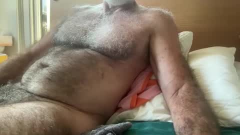 big bush online show from March 2026 03:01:01 AM