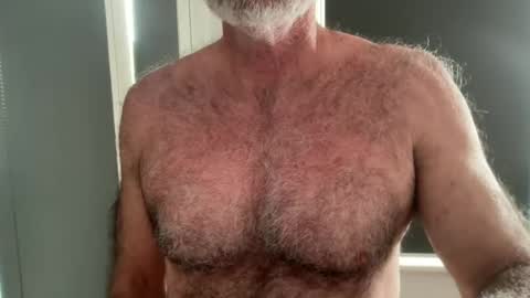 Snapshot of bigbush1 chatting on June 2026 12:00:01 AM big bush online show from June 2026 12:00:01 AM