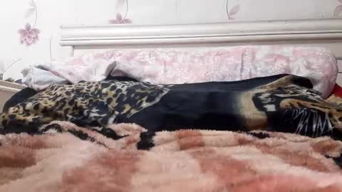 Snapshot of bigcock977654 chatting on February 2025 01:13:02 AM bigcock977654 online show from February 2025 01:13:02 AM