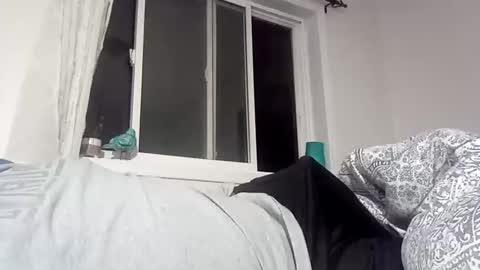 Snapshot of bigcumcanada chatting on December 2024 02:42:02 AM bg online show from December 2024 02:42:02 AM