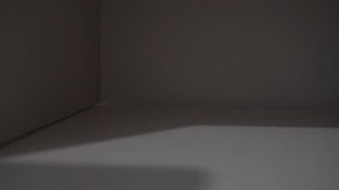 Frenchy bigD online show from April 2026 11:13:02 PM