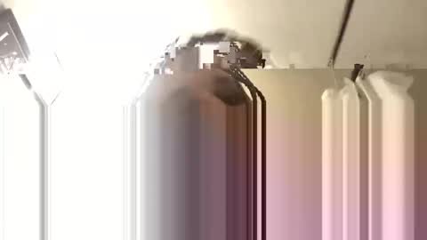 Snapshot of bigdaddy1988_ chatting on November 2025 06:14:01 AM Big Daddy 1988 S online show from November 2025 06:14:01 AM