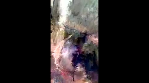 Daddchuko online show from April 2026 11:41:01 AM