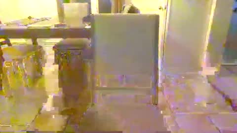bigdeer581917471 online show from June 2026 12:47:01 AM