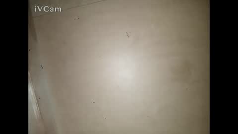 Big online show from March 2026 03:29:01 PM