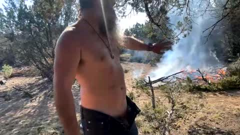 Snapshot of bigdickedbi chatting on December 2024 07:49:02 PM Bearded Dad online show from December 2024 07:49:02 PM