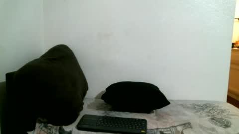 CAJEinc online show from July 2026 08:31:02 AM