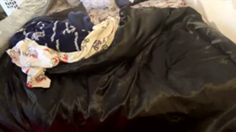 bigdickpapishampoo online show from February 2026 06:44:02 PM