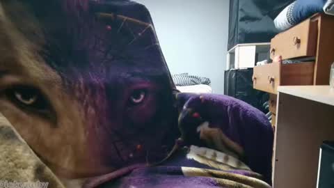 George Forest Dickyduby on all Socials online show from November 2025 02:01:02 AM