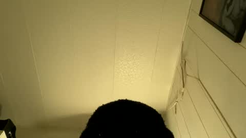 Snapshot of bigdickywn chatting on July 2026 04:30:01 AM bigdickywn online show from July 2026 04:30:01 AM