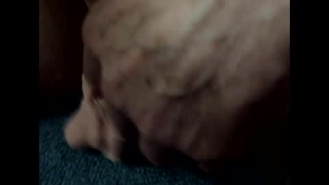 Snapshot of bigdipper58 chatting on February 2025 01:41:01 AM bigdipper58 online show from February 2025 01:41:01 AM