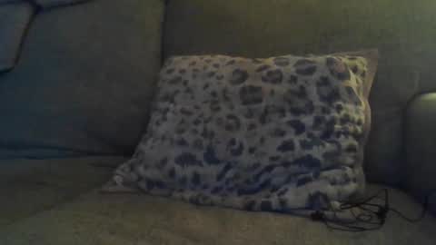 bigdt444420 online show from November 2025 05:13:02 AM