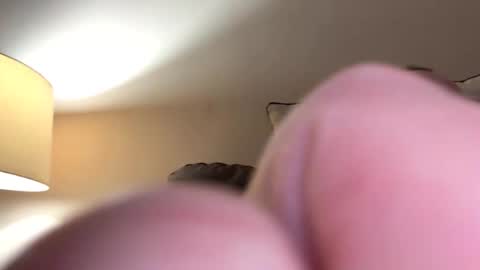 biggloves4bighands online show from November 2025 12:05:02 AM