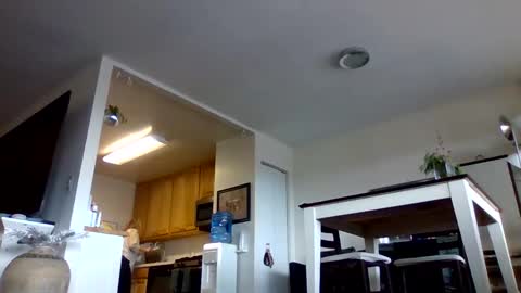 bigjoed233 online show from January 2026 03:47:01 PM