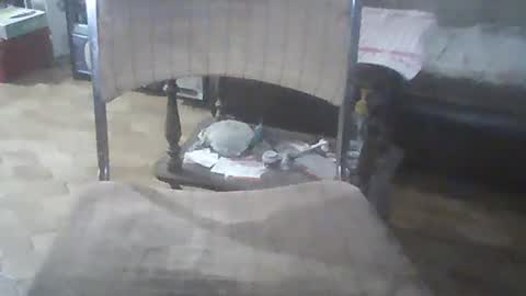 Snapshot of bigpenix chatting on December 2024 03:25:02 AM bigpenix online show from December 2024 03:25:02 AM