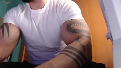 BigStallion online show from October 2025 11:51:02 PM