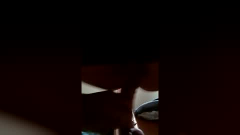 DeePee online show from June 2026 10:49:02 PM