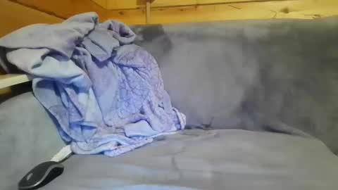 Snapshot of bik40 chatting on December 2024 10:59:02 PM bik40 online show from December 2024 10:59:02 PM