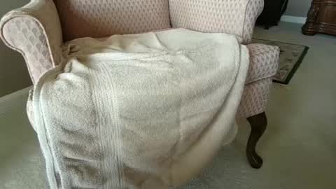 Snapshot of billernest99 chatting on October 2025 05:52:02 PM billernest99 online show from October 2025 05:52:02 PM