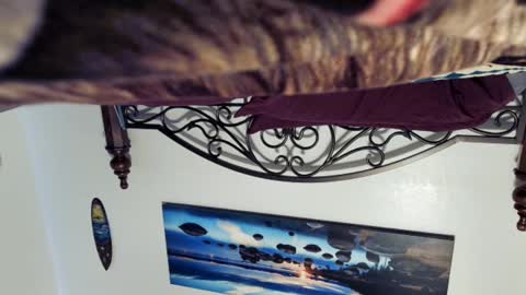 Snapshot of billy1850 chatting on March 2025 08:40:01 PM Starlyte online show from March 2025 08:40:01 PM