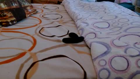 Bill online show from March 2026 06:50:01 AM