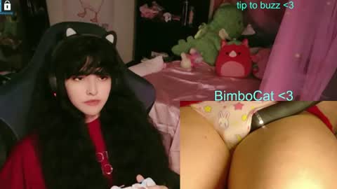 BimboCat online show from June 2026 01:26:02 AM