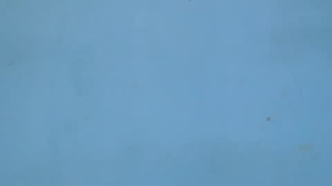 birdiexxslut online show from November 2025 09:08:01 PM