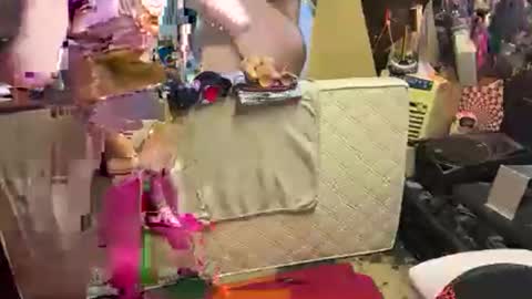 AnalLover online show from April 2026 09:17:01 AM