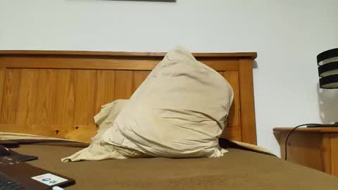 bisexualversat1 online show from December 2025 12:29:01 AM