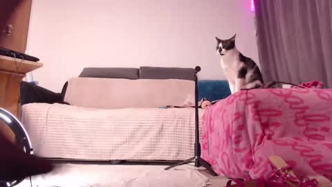 Snapshot of bitethetreat chatting on February 2025 02:04:01 AM BitE ThE TreaT online show from February 2025 02:04:01 AM