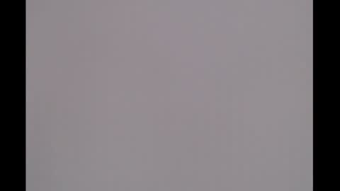 bivi  hot online show from January 2025 01:31:01 PM